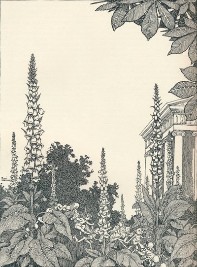 ए मिडसमर नाइट्स ड्रीम, 1914, 1925 का चित्रण। द्वारा विलियम हीथ रॉबिन्सन