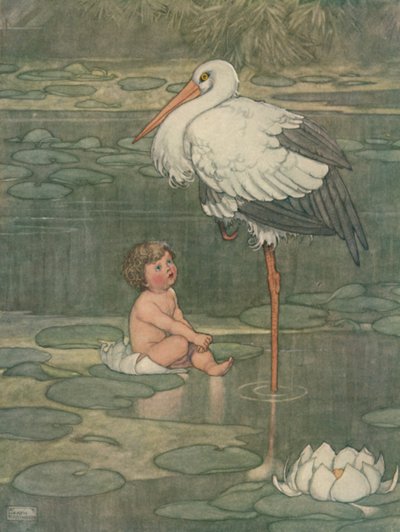 एक पूर्ण विकसित फूल में बड खोला, c1930 द्वारा विलियम हीथ रॉबिन्सन