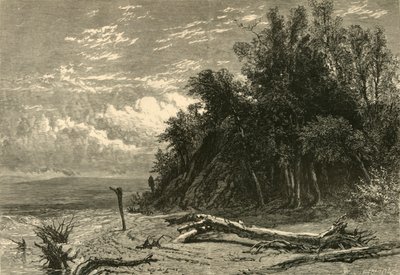 द शोर एट लेक फॉरेस्ट, 1874। द्वारा डब्ल्यूजे लिंटन
