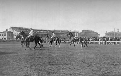 सेंट लीगर हॉर्स इन द फ्रंट ऑफ द डोनकास्टर स्टैंड, c1901, 1903 द्वारा WW राउच