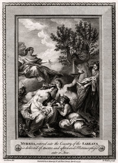 Myrrha, देशवासियों के देश में सेवानिवृत्त, Adonis की डिलीवरी है ..., 1775 द्वारा डब्ल्यू। वाकर