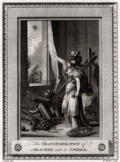 एक मकड़ी में अरचाने का परिवर्तन, 1775 द्वारा डब्ल्यू। वाकर