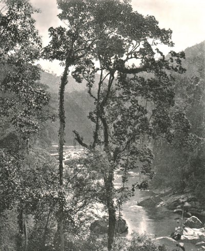 केलानी नदी, कुरुनगला, सीलोन का दृश्य, 1895। द्वारा डब्ल्यू एंड एस लिमिटेड