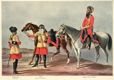 द सेकेंड पंजाब कैवलरी, 1901। द्वारा वाल्टर फेन
