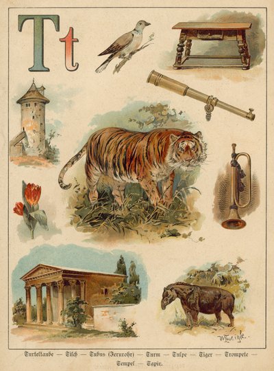 पत्र टी (क्रोमोलिथो) द्वारा वाल्टर ज़्वीगल