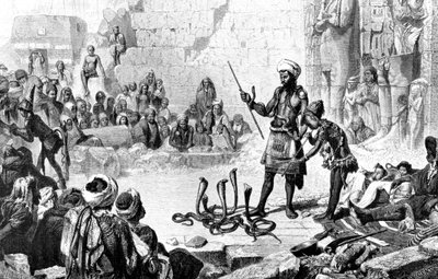 1881 में मेदिनीत-हबौ के दूसरे कमरे में साँप का जादू द्वारा वेबर एम