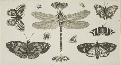  द्वारा Wenceslaus Hollar
