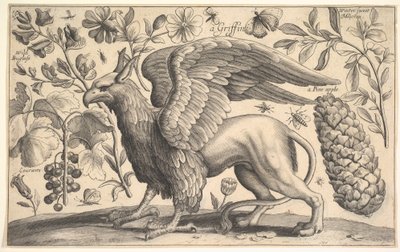 ए ग्रिफिन, 1625-77। द्वारा Wenceslaus Hollar
