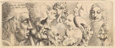 विभिन्न प्रकार के सिर, 1625-77। द्वारा Wenceslaus Hollar