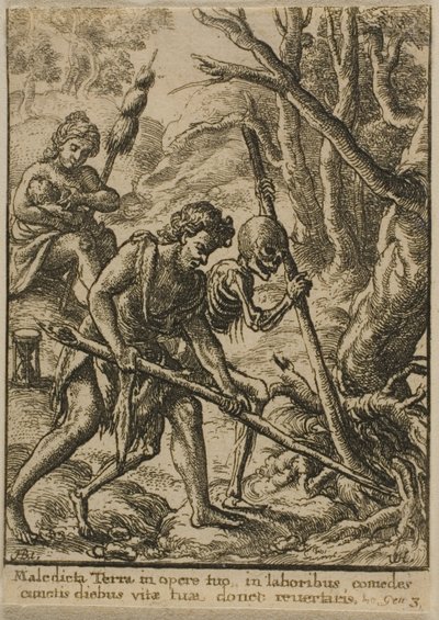 एडम प्लाविंग द्वारा Wenceslaus Hollar