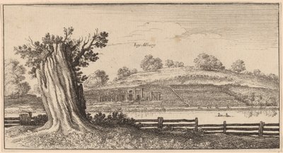 एल्बरी द्वारा Wenceslaus Hollar