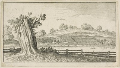 अग्रभूमि में वृक्ष-स्टंप के साथ एल्बरी द्वारा Wenceslaus Hollar