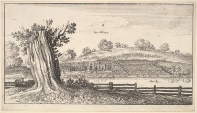 अग्रभूमि में पेड़-स्टंप के साथ एल्बरी, 1625-77। द्वारा Wenceslaus Hollar