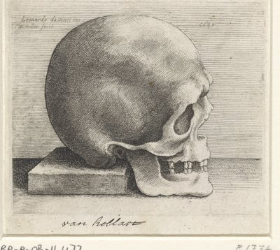  द्वारा Wenceslaus Hollar