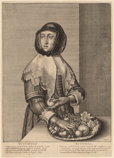 शरद ऋतु द्वारा Wenceslaus Hollar