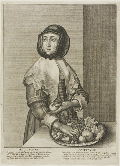  द्वारा Wenceslaus Hollar