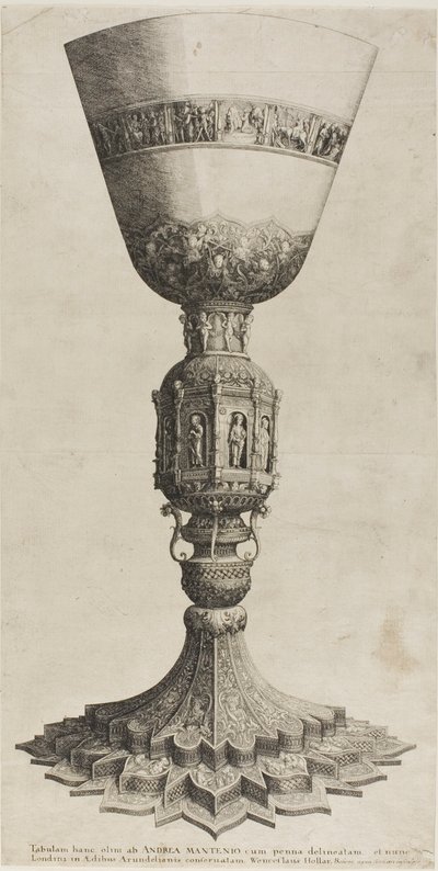 प्याला द्वारा Wenceslaus Hollar