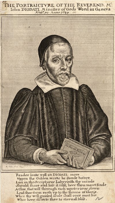 डायोडाटा। राज्य 3 द्वारा Wenceslaus Hollar