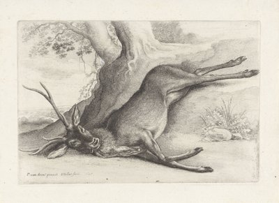  द्वारा Wenceslaus Hollar