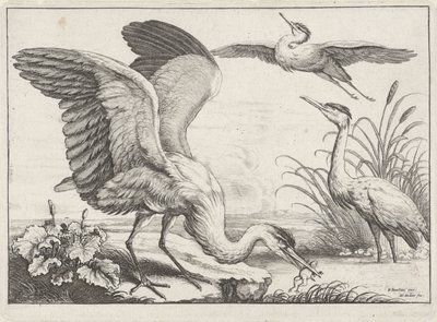  द्वारा Wenceslaus Hollar