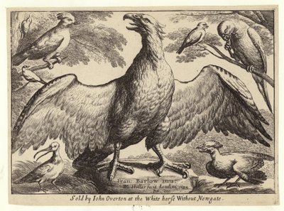 ईगल और अन्य पक्षी द्वारा Wenceslaus Hollar