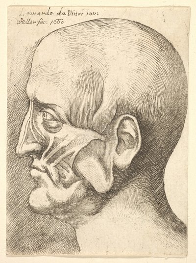 बाएं, 1660 प्रोफ़ाइल में एक आदमी का इकोचे सिर। द्वारा Wenceslaus Hollar