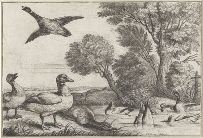  द्वारा Wenceslaus Hollar