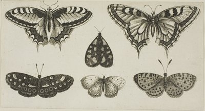  द्वारा Wenceslaus Hollar