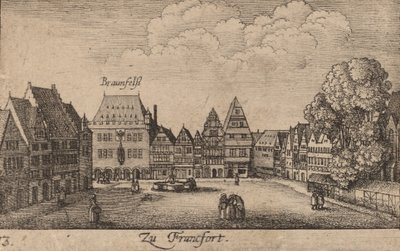 फ्रैंकफर्ट, 1635। द्वारा Wenceslaus Hollar