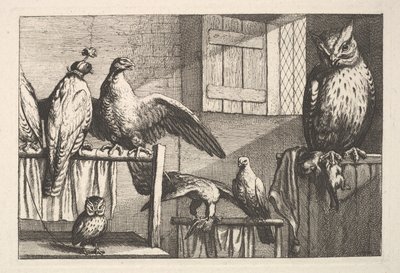 बाज़ और उल्लू, 1625-77। द्वारा Wenceslaus Hollar