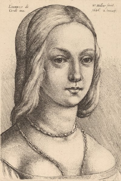 महिला का सिर दाहिनी ओर देख रहा है। द्वारा Wenceslaus Hollar
