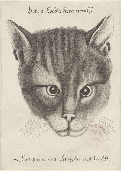 बिल्ली का सिर द्वारा Wenceslaus Hollar