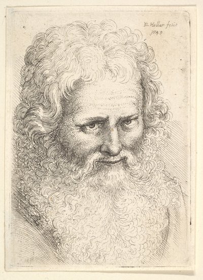 बड़ी दाढ़ी वाले एक बूढ़े व्यक्ति का सिर, 1645। द्वारा Wenceslaus Hollar