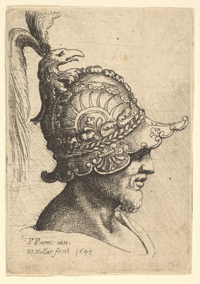 हेलमेटेड हेड wtih बर्ड्स हेड क्रेस्ट, 1645। द्वारा Wenceslaus Hollar