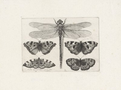  द्वारा Wenceslaus Hollar