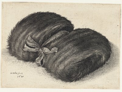  द्वारा Wenceslaus Hollar