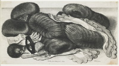 एक टेबल पर कपड़े के मफ और लेख, 1647 द्वारा Wenceslaus Hollar