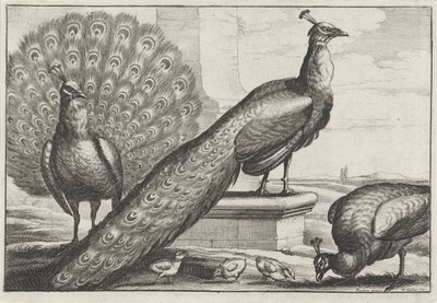  द्वारा Wenceslaus Hollar