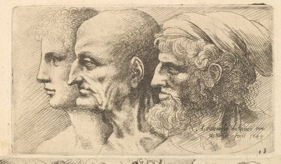 बाईं ओर प्रोफ़ाइल के तीन सिर, 1645। द्वारा Wenceslaus Hollar