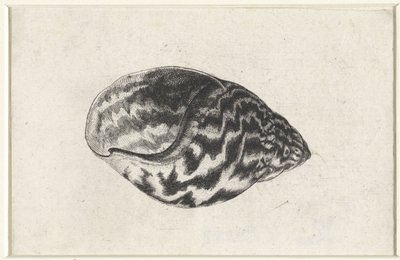  द्वारा Wenceslaus Hollar