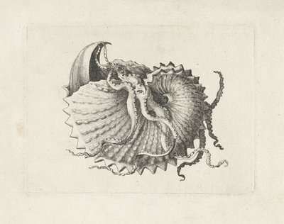  द्वारा Wenceslaus Hollar