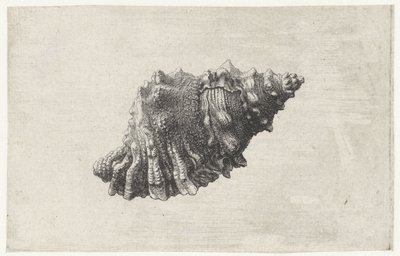  द्वारा Wenceslaus Hollar