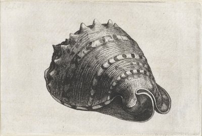  द्वारा Wenceslaus Hollar