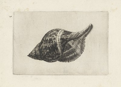  द्वारा Wenceslaus Hollar