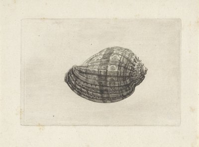  द्वारा Wenceslaus Hollar