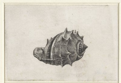  द्वारा Wenceslaus Hollar
