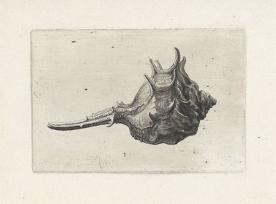  द्वारा Wenceslaus Hollar