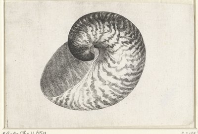  द्वारा Wenceslaus Hollar