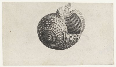  द्वारा Wenceslaus Hollar