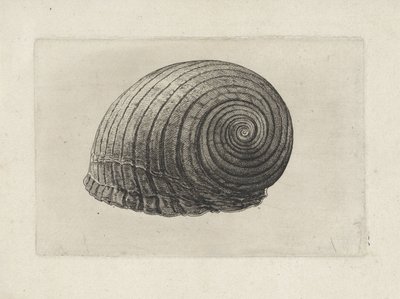  द्वारा Wenceslaus Hollar